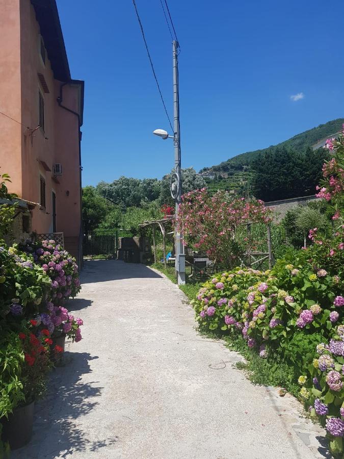 Casa Nonna Anna Maiori Exterior foto